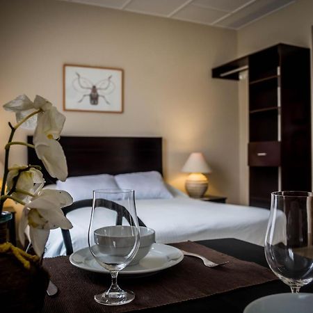 Villa Creole Jacó Eksteriør billede