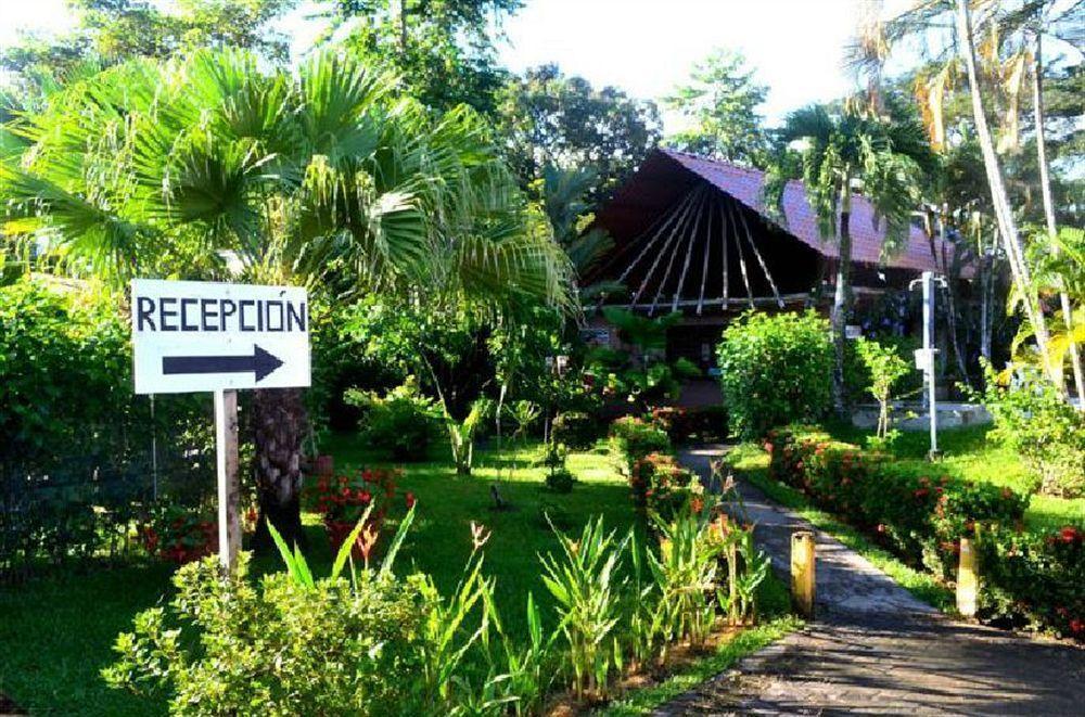 Villa Creole Jacó Eksteriør billede